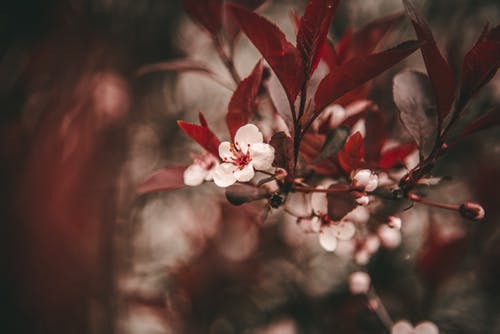 35岁我离婚了没有小孩我该怎么办,35岁的我想离婚怎么办