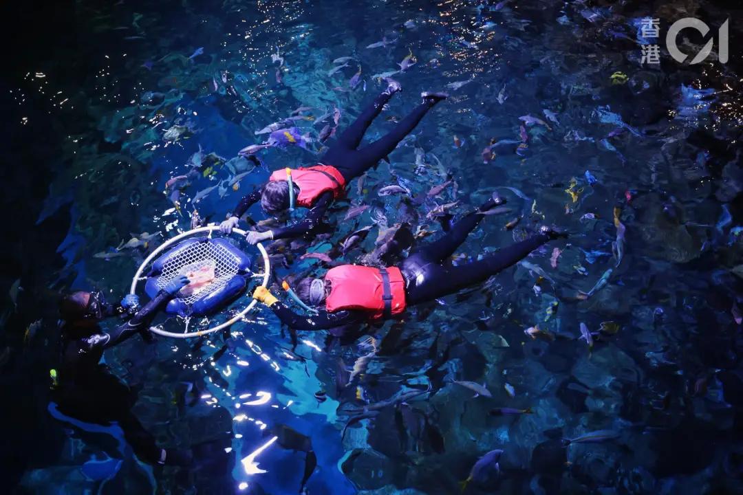 迷惑！258元只能参观高铁，香港本地游推出这些新玩法