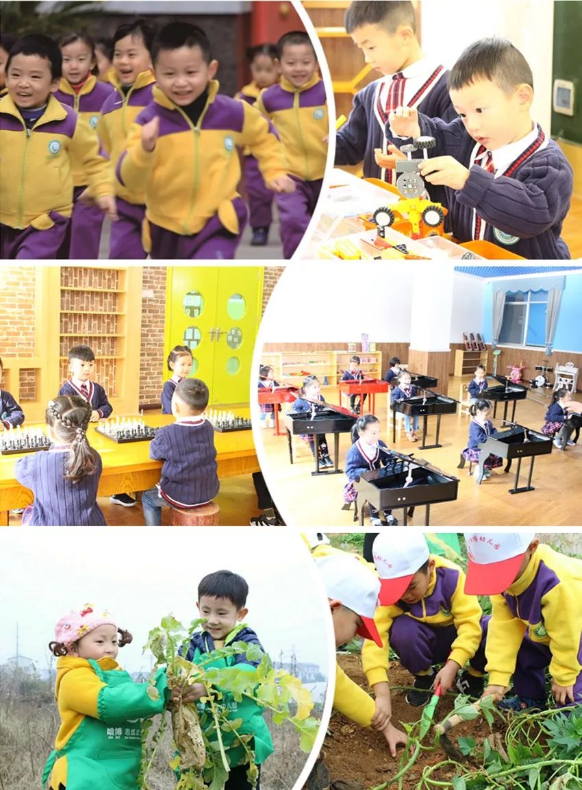 鱼玥茶礼|访哈博教育集团创始人：苏晚辉、雷碧容