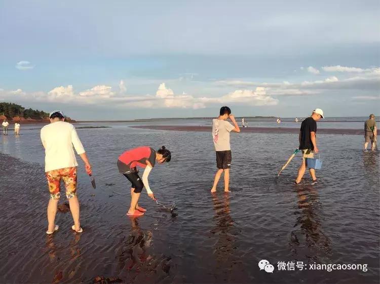 漂洋过海来挖宝,漂洋过海去台湾吃海鲜