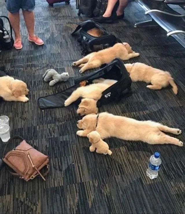 每日内涵囧图,每日囧图笑你一整天