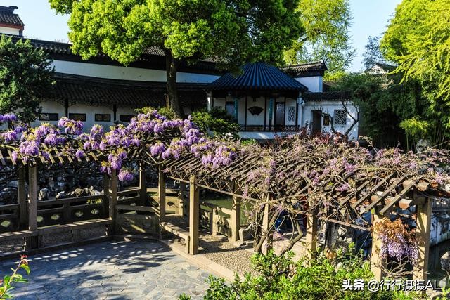 苏州园林狮子林附近,苏州园林之狮子林赏析