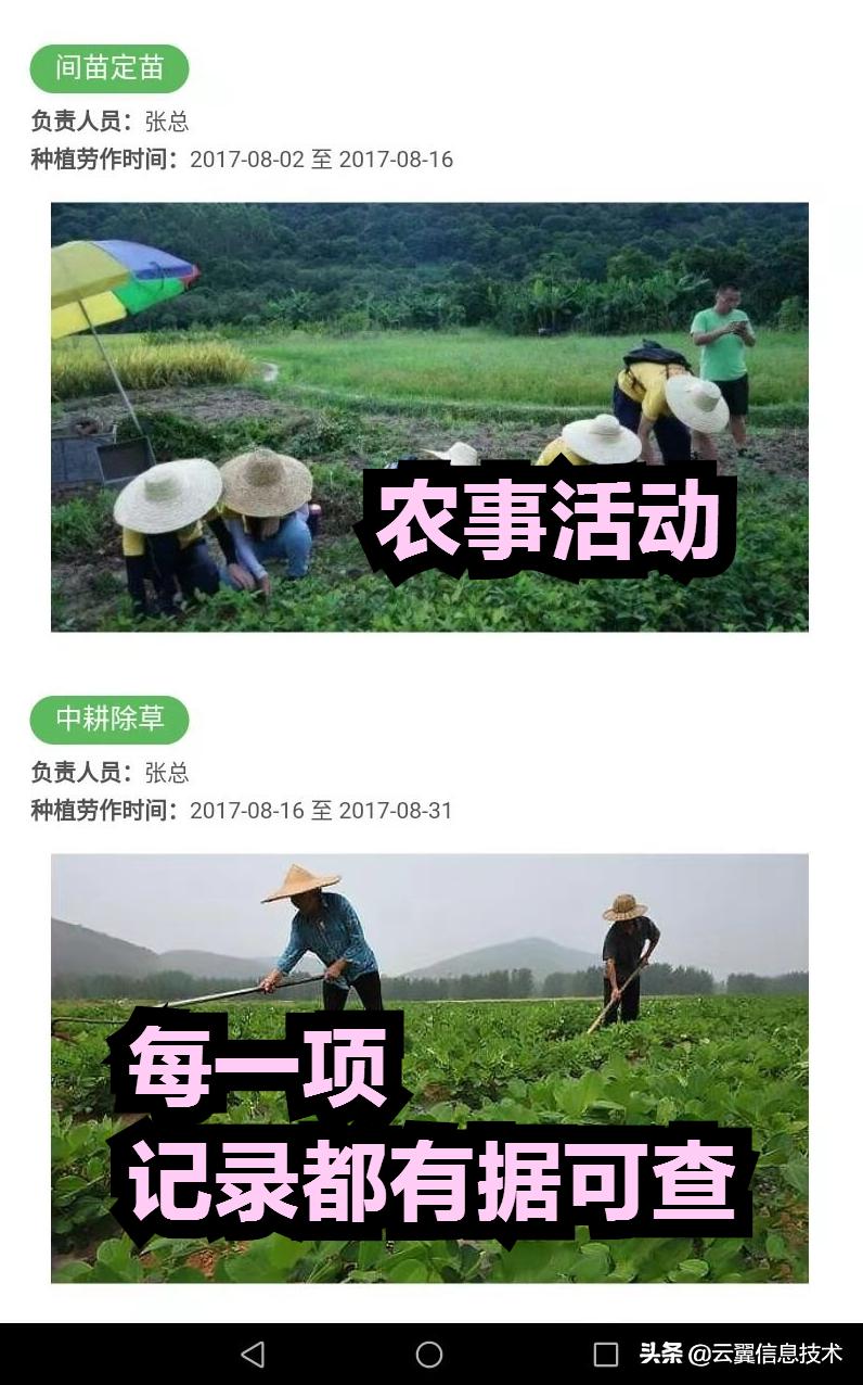 超市扫描条码正确识别方法,超市里食品上的二维码溯源
