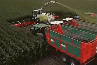 认真是一种可怕的力量,德国严谨的态度