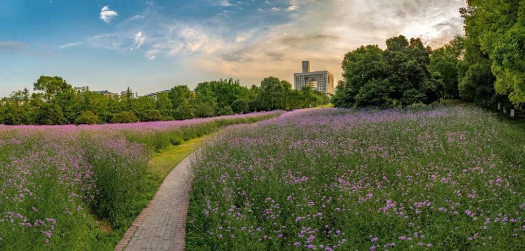 重庆师范大学2025年招生简章,重庆师范大学2020招生简章