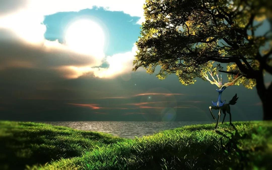 宝可梦鲤鱼王的进化型,宝可梦鲤鱼王多少级进化