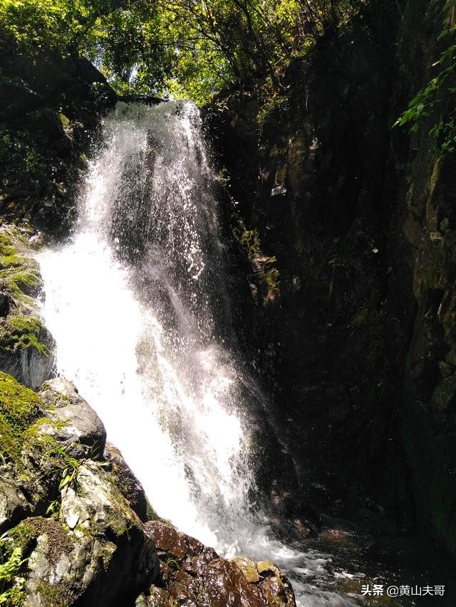 茶中翡翠，歙县滴水香——一颗蒙尘在北纬30°线上的黄山明珠