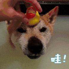 明星的水光针靠谱吗,打水光针到底靠不靠谱