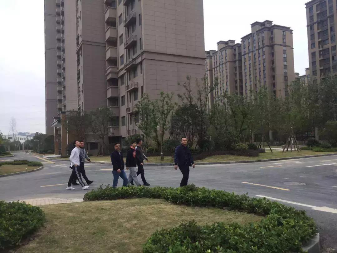 碧桂园这几年的发展,桂碧园园林景观