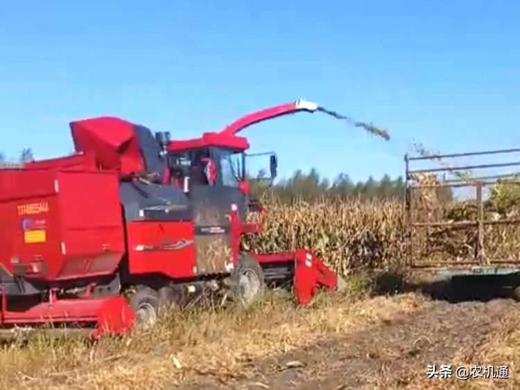 牧神玉米收割机视频大全2020,大品牌的产品应该值得信赖