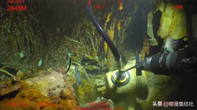 碧蓝航线胡德为什么说是皇家演员,胡德阿姨碧蓝航线