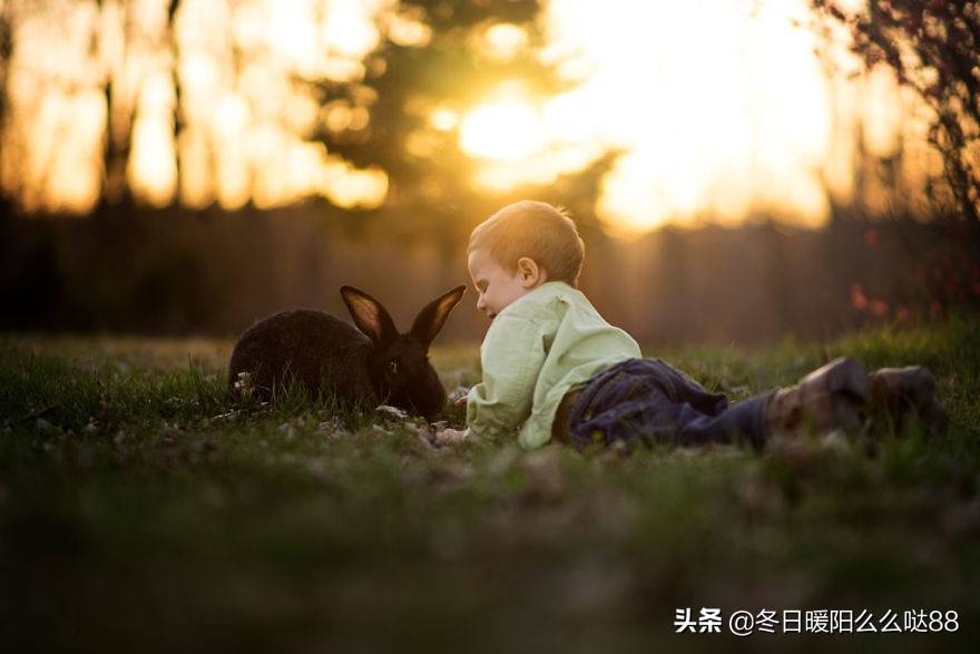 书荒了高质量都市商业小说完结,2018书荒了求高质量都市小说