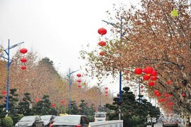 2019年，继续走着，笑着歌笑点！