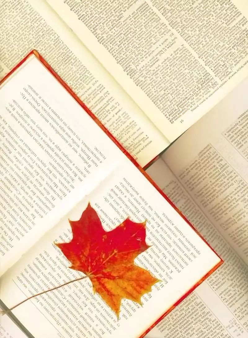 读书和人谈,读书者和读书人