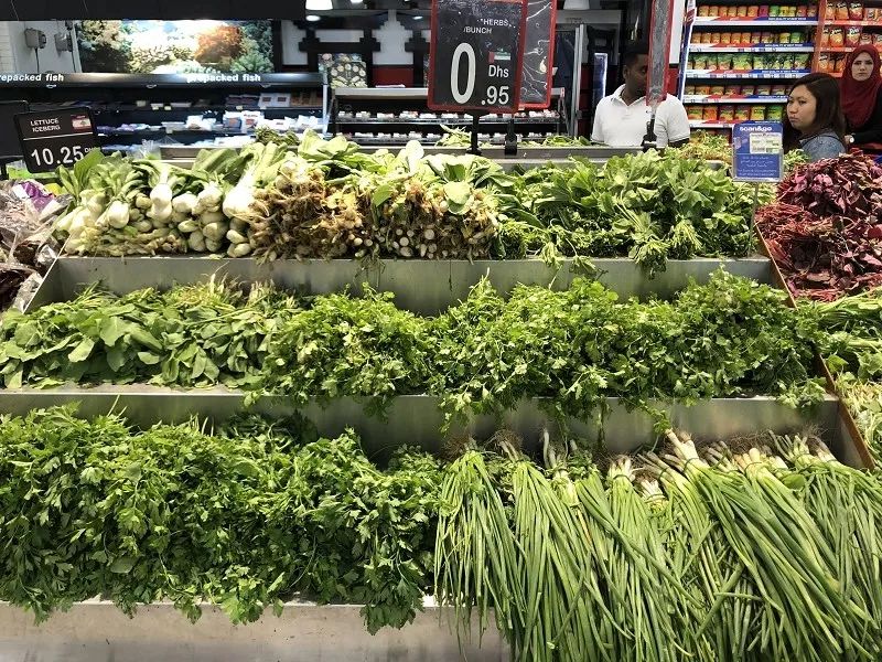 新加坡和迪拜生活成本,迪拜生活费用价目表