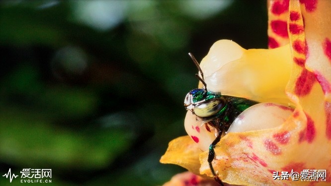 在家可以享受影院级的震撼视频,在家享受影院效果