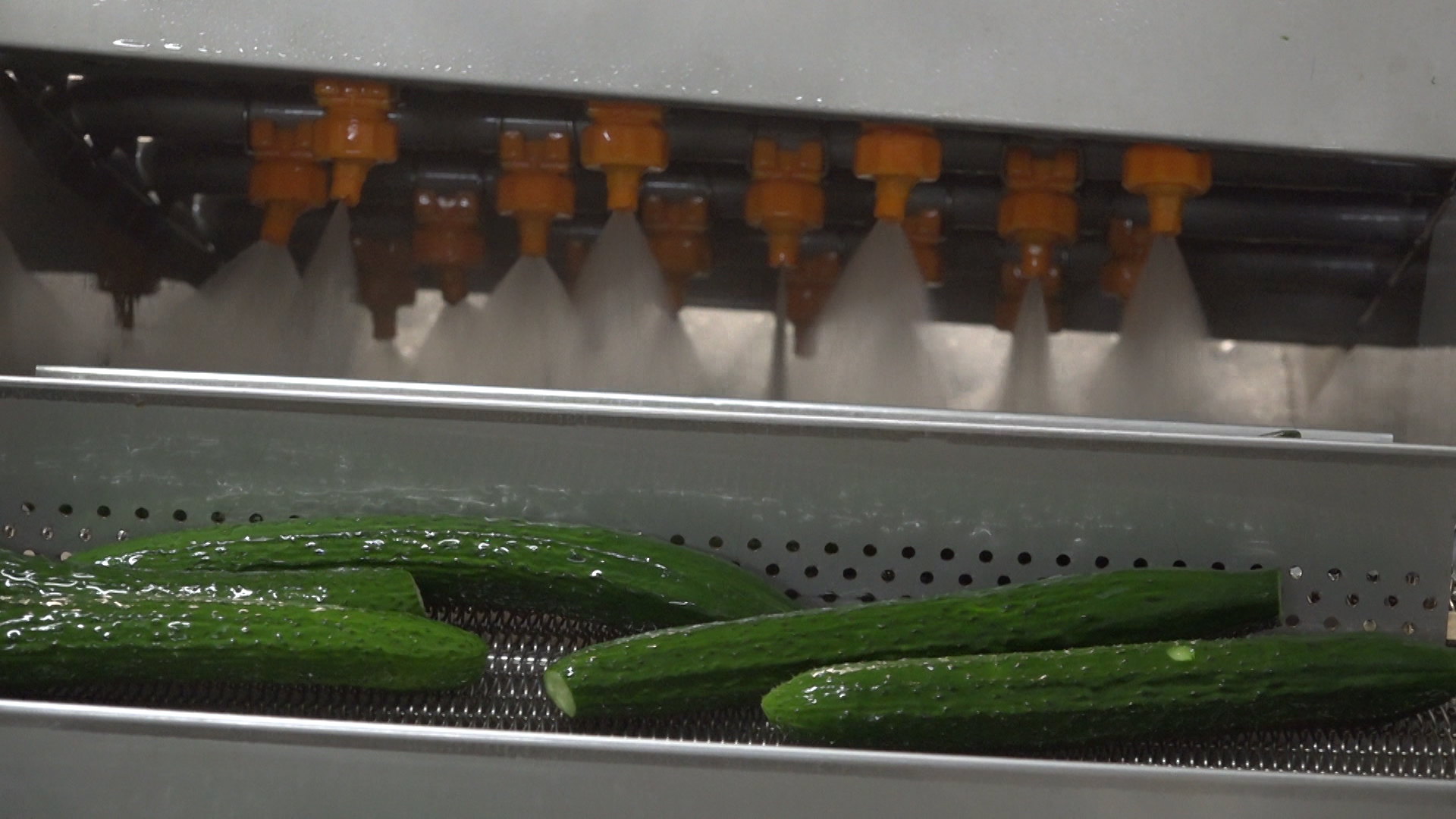 明厨亮灶+中央厨房，太原多措并举推行小学生营养午餐