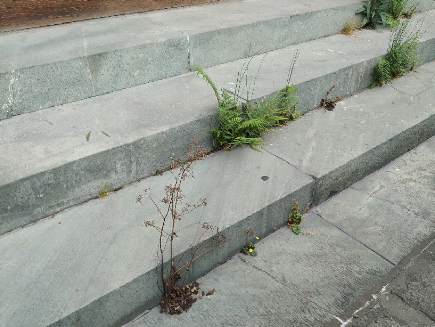 杭州古城门全景图,杭州十大古城门一日游