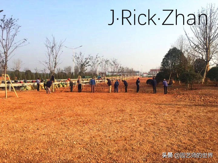 适合北方庭院种植的低矮草坪,家庭庭院怎样混搭种植草坪和蔬菜