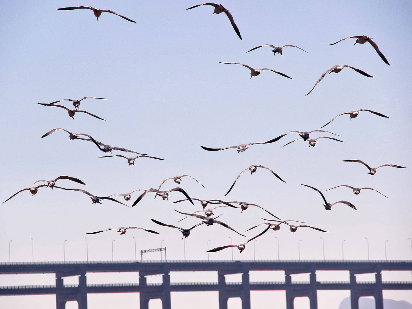 天蝎座和天蝎座的性格怎样,天蝎座和天蝎座的性格适合相处吗