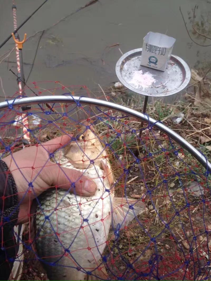 天时地利人和方为致胜,天时地利人和钓鱼