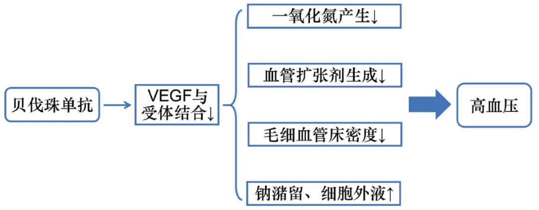 聚焦｜《接受贝伐珠单抗治疗的卵巢癌和宫颈癌患者血压管理专家共识》：2019英国专家建议解读