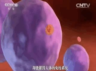 情感测试测你什么时候能咸鱼翻身,今天是爱的好日子