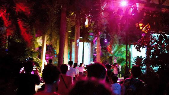 唐山周末聚会,周末唐山相约南湖