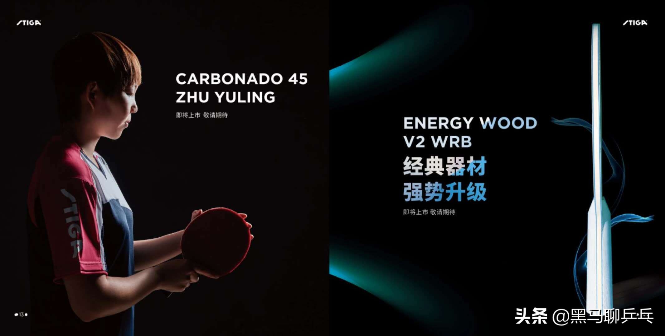 每周乒器观察57：大胖的“度数”，金标Vis，飞龙