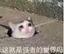 卖保险发家致富,卖保险熬过几年就没事了