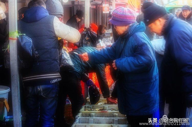 烟台莱阳海鲜早市,烟台老红利市场早市