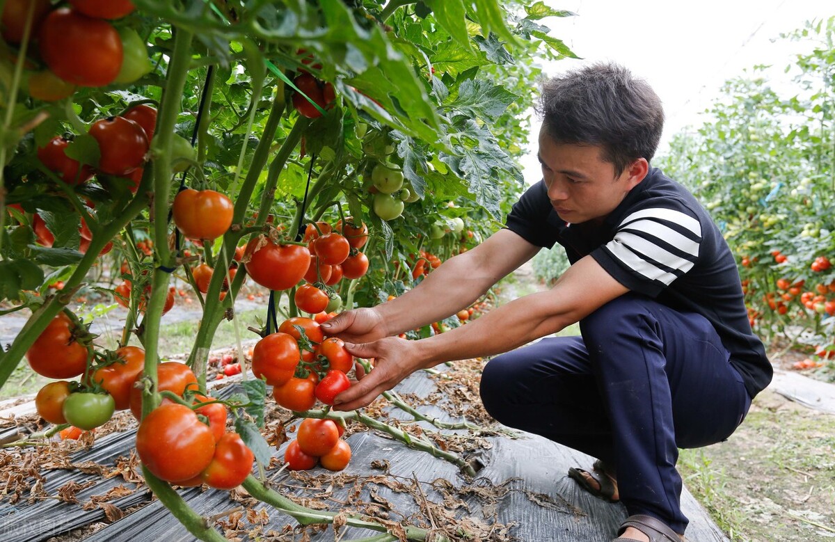 广西农业招商引资项目补贴,广西农业重大项目招商签约