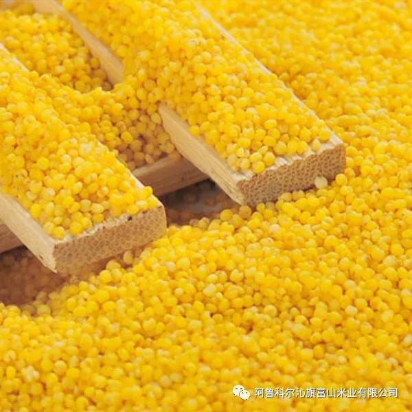 富山小米你了解吗?