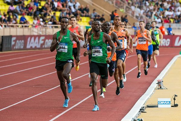 马拉松赛一般有多少个兔子,马拉松兔子都是很厉害的吗