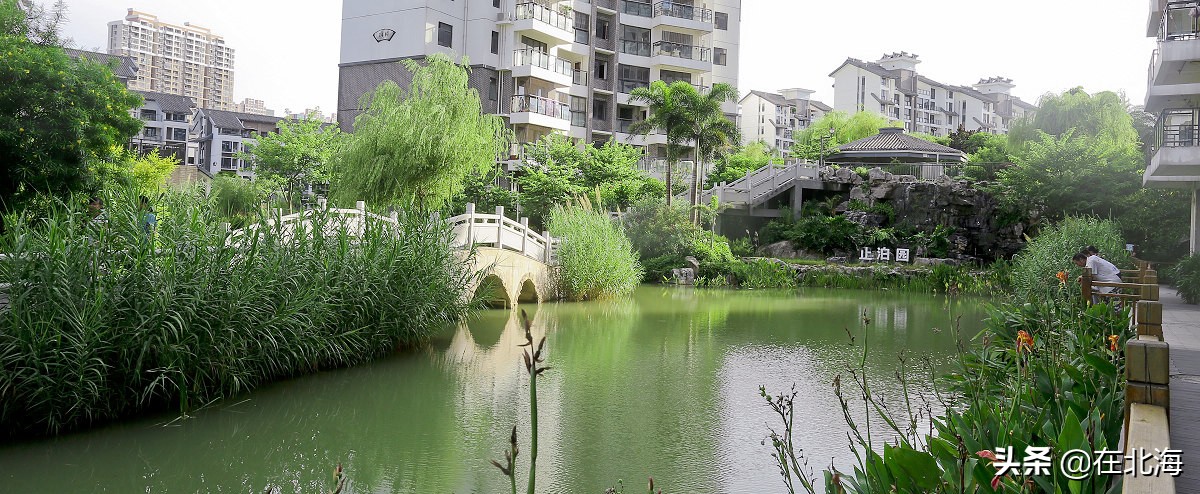 北海适合养老的一线海景房,北海比较漂亮的小区