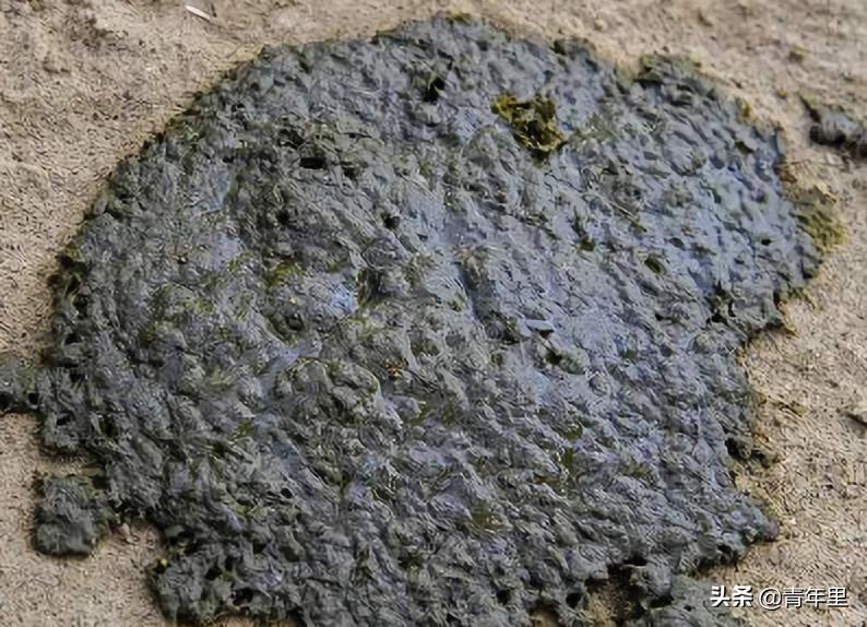 男性避孕针国内有了吗,男性避孕针首例