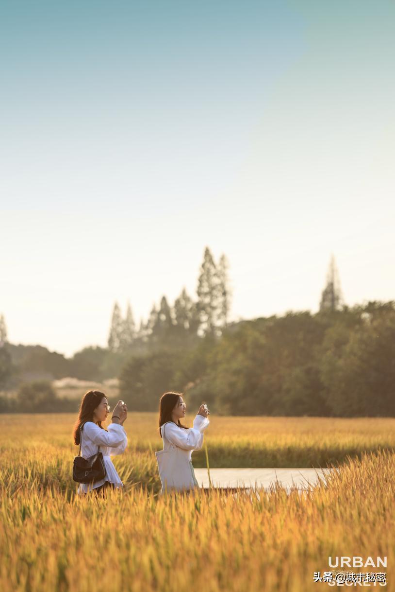 江南100，杭州99