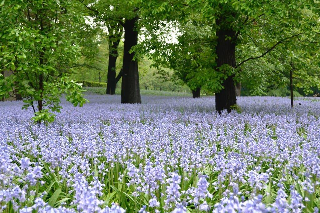 纽约必去的十大景点,纽约必去的10大景点英文