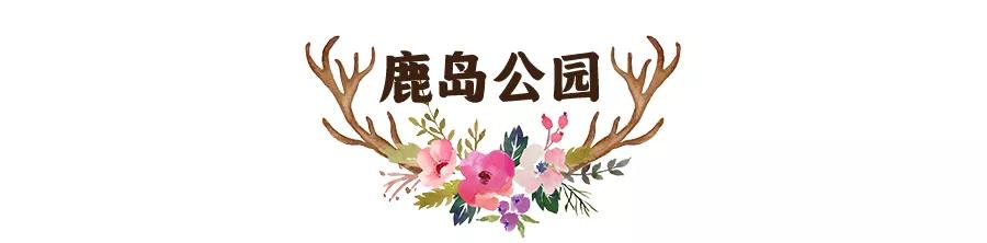 东南花都花博园景观,东南花都花博园