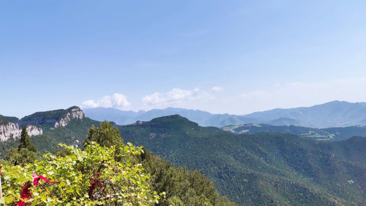 济南免费遛娃的地方,济南市十一带娃游玩好去处