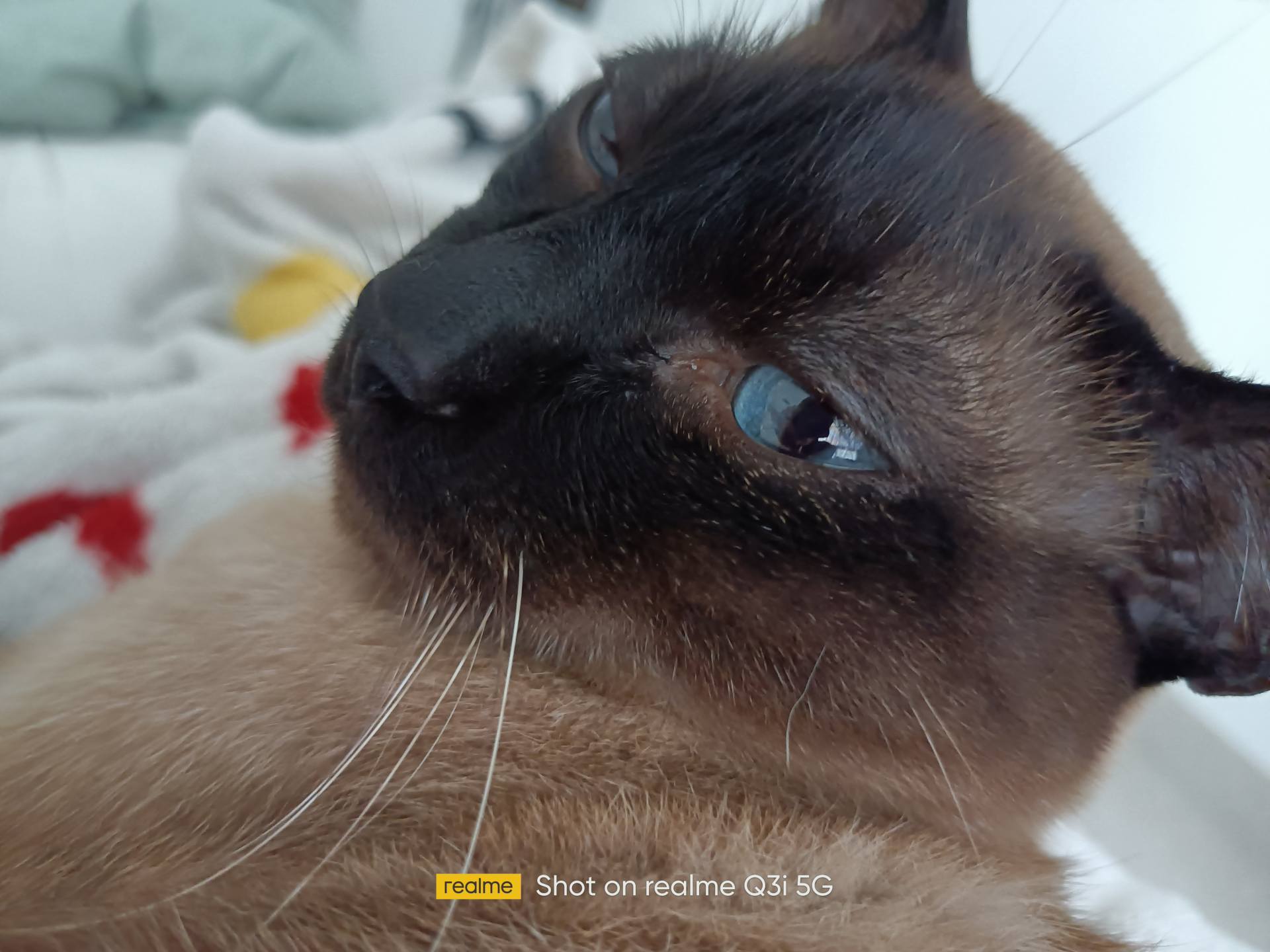 realme真我q3i开箱,realme真我q3i的4+128值得买吗