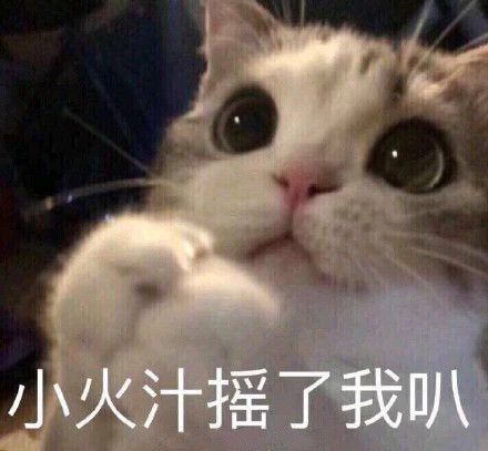 我突然有个大胆的想法表情包,我有一个大胆的想法表情包