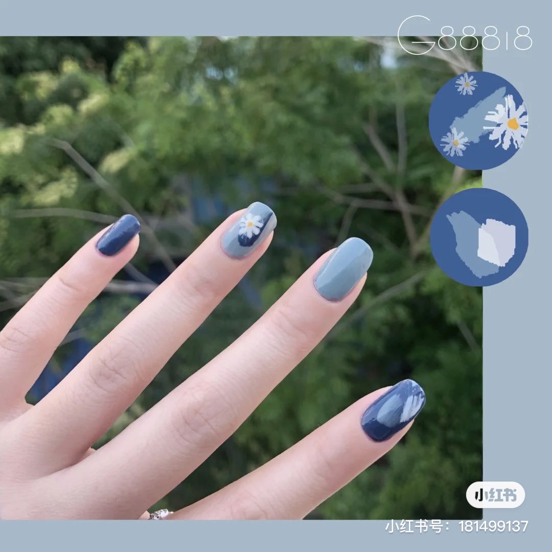 小雏菊带香味,小雏菊花果香