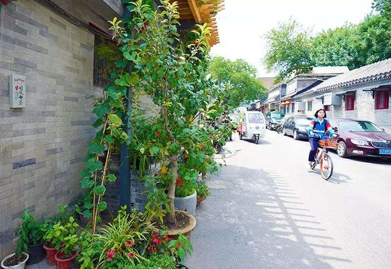 胡同里的日常生活,胡同里的北京生活