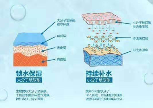 你了解玻尿酸嘛！知道它的作用嘛