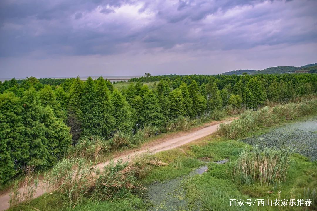 苏州西山景区有哪些景点,苏州西山缥缈峰景区