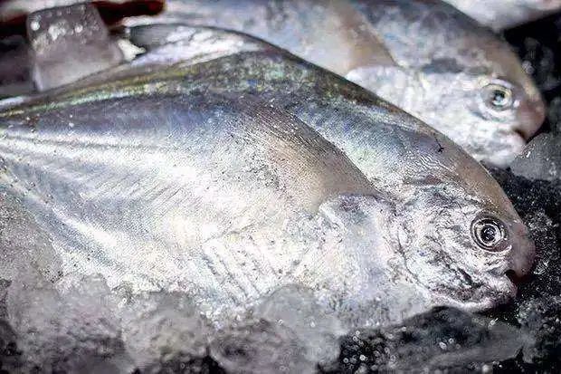 年夜饭中少不了这道葱油鲳鱼,年夜饭中少不了这道菜葱油鲳鱼