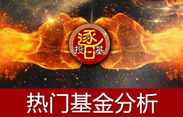 各板块龙头基金一览表2020,各类型行业板块优质龙头基金