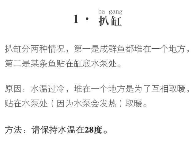 血鹦鹉鱼疾病和治疗方法,红鹦鹉怎么治疗最有效