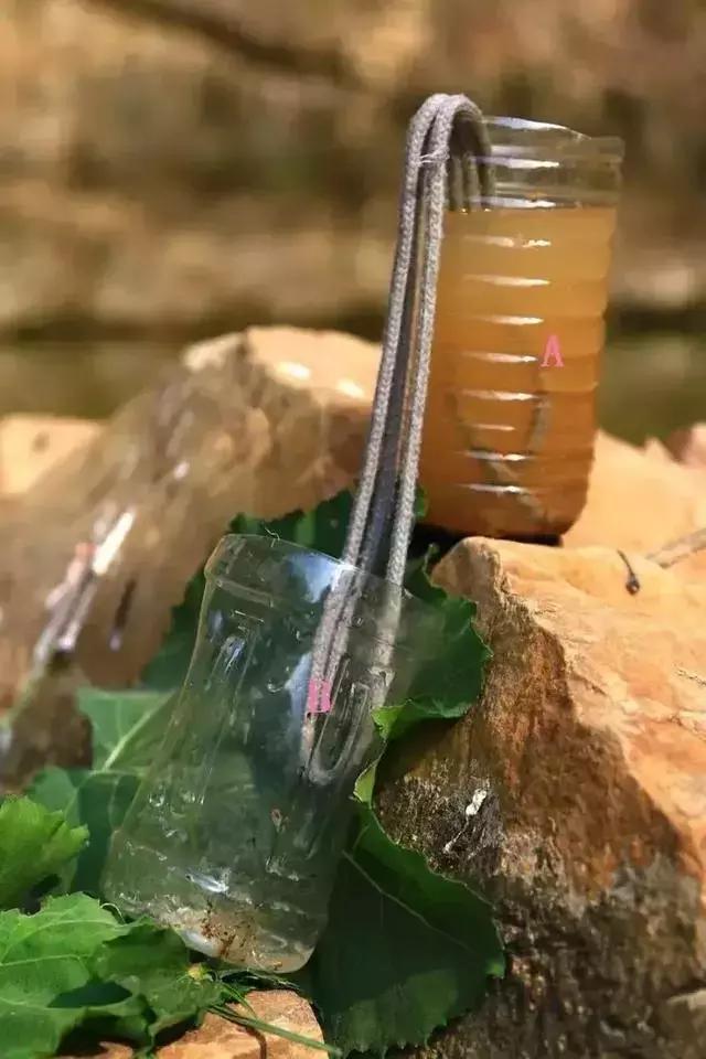 野外生存小技巧怎么过滤水,野外生存取水的正确方法